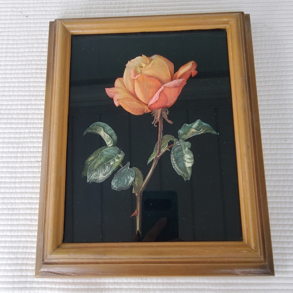 Rose Paper Decoupage 11.5"x9.5" Wall Hanging Wood Glass Frame 3D Layers Picture